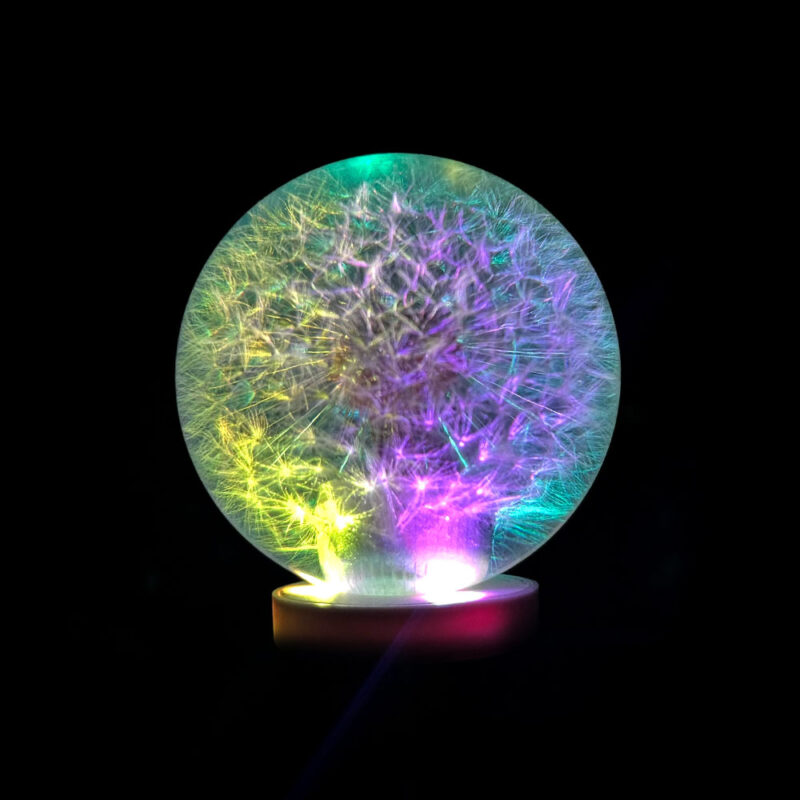 LED Dandelion Shift Knob