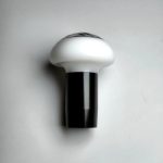 BMW Manual Gear Knob