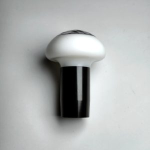 BMW Manual Gear Knob